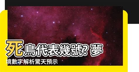 鳥是代表幾號|夢見各種夢所代表的樂透數字（動物篇），周公解夢大全查詢